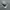CONVERSE JACK PURCELL VELCRO SECOND 43  photo 5