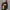Fjallraven Kanken BNWT Sling Bag photo 2