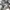 Flightsuit Coverall France Army CCE GIGN Original XXL photo 4