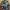 BDU Seyntex France Army CCE Original L photo 3