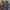 BDU Seyntex France Army CCE Original L photo 1