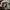 BDU Seyntex France Army CCE Original L photo 2