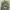 BDU France Army CCE Special Forces Original XL photo 1