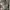 BDU France Army CCE Special Forces Original XL photo 2