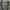 BDU France Army CCE Special Forces Original XL photo 4