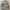 BDU France Army CCE Special Forces Original XL photo 5