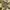 BDU Arktis France Army CCE Original L fit XXL photo 2