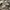 BDU Arktis France Army CCE Original L fit XXL photo 5