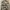BDU Arktis France Army CCE Original L fit XXL photo 7