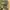 BDU Arktis France Army CCE Original L fit XXL photo 3