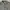 Kemeja jack wolf skin photo 2