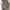 Tas Ransel France Army CCE Original photo 6