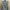 BDU France Army F2 Olive Original L photo 1