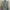 BDU France Army F2 Olive Original L