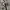 BDU France Army F2 Olive Original L photo 2