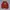 CREWNECK PANCOAT ART DOMBA photo 1