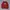 CREWNECK PANCOAT ART DOMBA