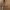 Vintage Y2K Bodycon dress Wanita gold photo 6