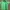 Jersey Jeonbuk hyundai Motors photo 1