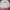 Fila Casual Track jacket Pria gray photo 1