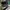 topi vintage second sportage 4wd kia motors photo 2