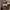 Adidas vintage spike island  photo 1