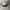 Topi Baller FBI Warning snapback photo 1