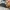 Topi Baller FBI Warning snapback photo 6