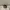 gucci belt classic authentic  photo 1