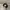 gucci belt classic authentic  photo 2
