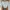 Apuweiser Riche Crop Cardigan  photo 1
