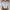 Apuweiser Riche Crop Cardigan 