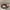 LOUIS VUITTON BELT authentic  photo 1