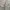 Zara Casual Formal shirt Pria green photo 7