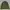 Zara Casual Formal shirt Pria green photo 1