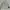 Casual Formal shirt Pria gray photo 1