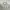 Casual Formal shirt Pria gray photo 3