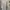Oakley Vintage Luxury Polo shirt Pria silver gray photo 3