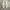valentino sandal authentic  photo 2