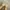 valentino sandal authentic  photo 1