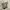 valentino rockstud sandal authentic photo 1