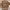 Converse Varsity Jacket Vintage 'Brown Suede' photo 5