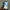 Iphone 15 Blue 128GB RSIM Setting