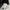 Polo Ralph Lauren Streetwear Casual Tote bag Wanita white photo 3