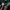 Nike Streetwear Sportswear Jersey Pria green photo 7