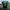 Nike Streetwear Sportswear Jersey Pria green photo 2