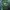 Nike Streetwear Sportswear Jersey Pria green photo 3