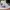 Nike X Fog Skylon 2, 43