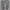 NFL joger cargo pants photo 3