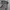 NFL joger cargo pants photo 4